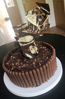 The Cake